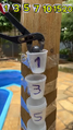 Thumbnail for version as of 00:28, 1 July 2025