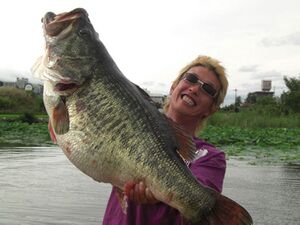 Large mouth bass.jpeg