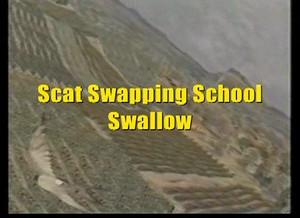 Scatswapping.png