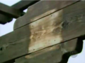 Thumbnail for version as of 07:27, 12 March 2021