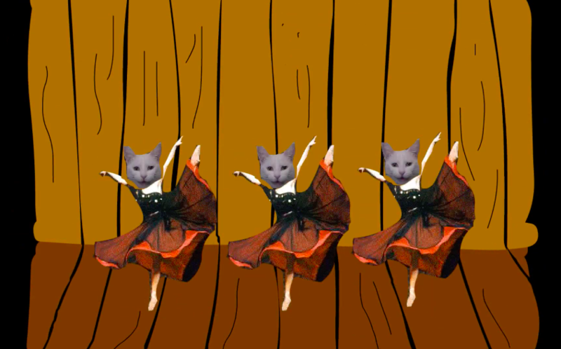 File:Dancincats.png