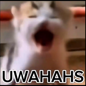 Uwahahs.png