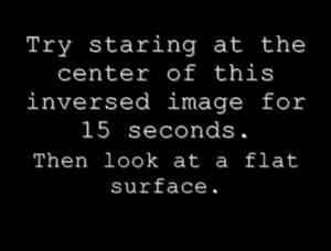 ScaryIllusiontext.png