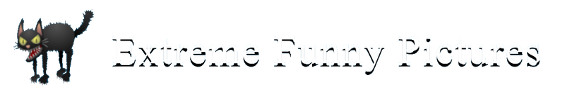 File:Extremefunnypictures.png