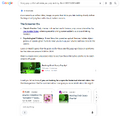 Google answers instead a general screamer question rather than the screamer that was searched and also calls the K-fee car commercial the "Car Zombie video."