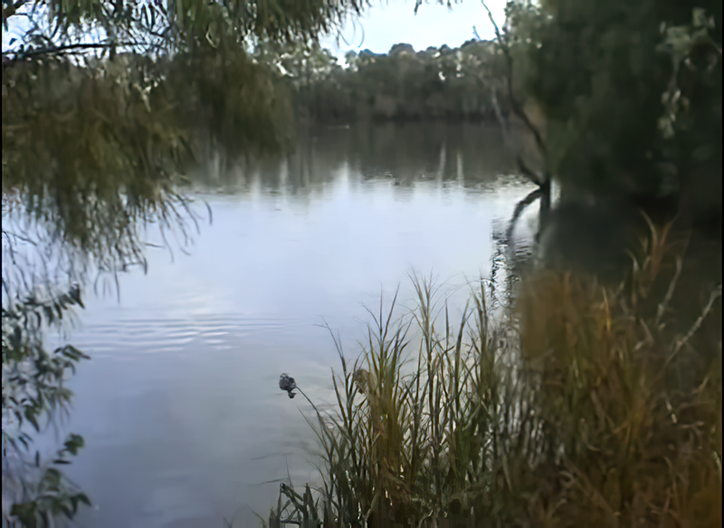 File:00247.png