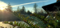 Thumbnail for version as of 19:26, 26 February 2022