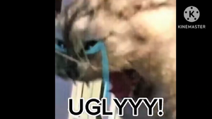 InShot 1780570180239.png