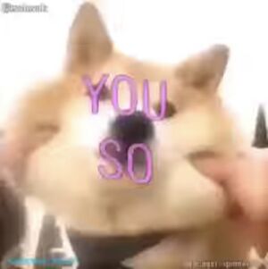 YouSo.jpeg