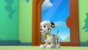 Scary Paw Patrol pop up.JPG