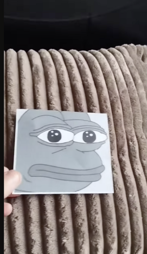 Attentionauxgenouilles.png