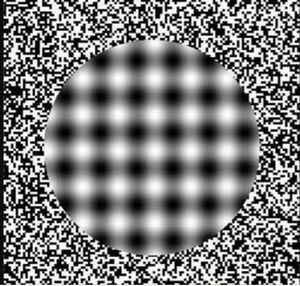 Illusion.jpg