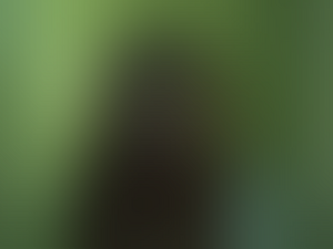 TheReal.PNG