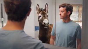 Donkeyclip.png