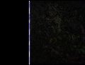 Thumbnail for version as of 00:10, 1 February 2021