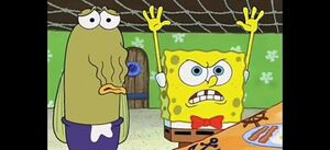Sponge.mp4.jpg