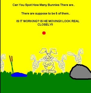 Bunnyillusion.jpg