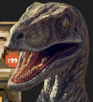 Raptor.jpeg