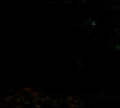 Thumbnail for version as of 08:56, 29 May 2021