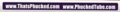 Thumbnail for version as of 23:26, 19 August 2022