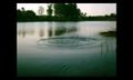 Thumbnail for version as of 08:10, 16 March 2022
