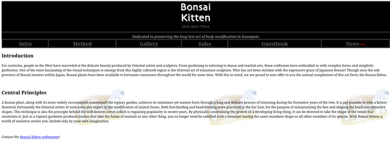 File:Bonsai kitten censored.png