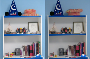 Spot the 12 Differences.png