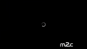 Loading icon before the screamer.png