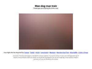 M-d-mtrain.jpg