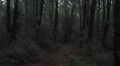 Thumbnail for version as of 15:47, 6 April 2023