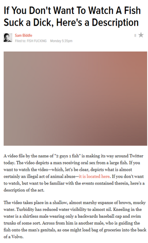Gawker's story.png