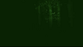 The Forest.
