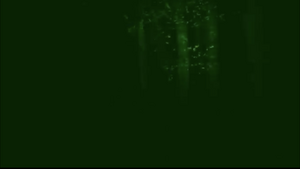 Forest1.png