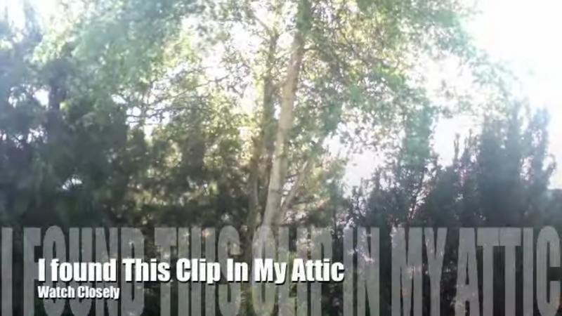 File:Look At The Tree.png