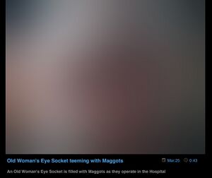 OWESTWM.jpeg