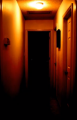 Thumbnail for version as of 13:45, 15 January 2021