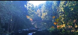 River Bridge