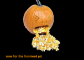 What appears when you skip the Fourth picture?