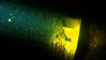 Thumbnail for version as of 09:57, 14 December 2022
