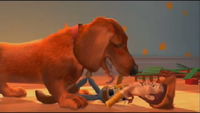 Dog.