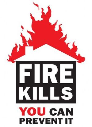 Fire Kills.jpg