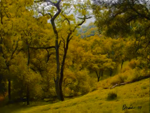 Relaxing Video 5.png