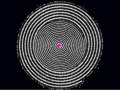 Thumbnail for version as of 08:56, 29 May 2021