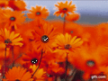 Thumbnail for version as of 07:33, 10 July 2021