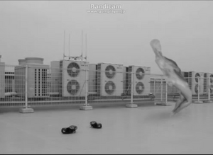 Sunflowerdance.png