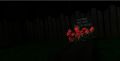 Thumbnail for version as of 02:10, 21 December 2020
