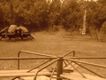 Thumbnail for version as of 09:53, 26 February 2020
