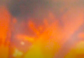 Thumbnail for version as of 22:59, 23 February 2021