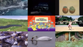 Thumbnail for version as of 20:36, 20 September 2019