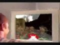 Thumbnail for version as of 15:03, 2 June 2025